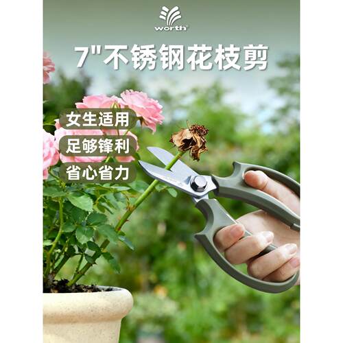 沃施园艺不锈钢修枝剪采摘家用鲜花园林花艺多功能剪子鲜切工具