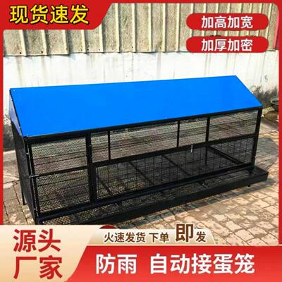 鸡笼家用室外铁丝网大号防雨防黄鼠狼防鼠养殖鸡笼防啄鸡下蛋鸡笼