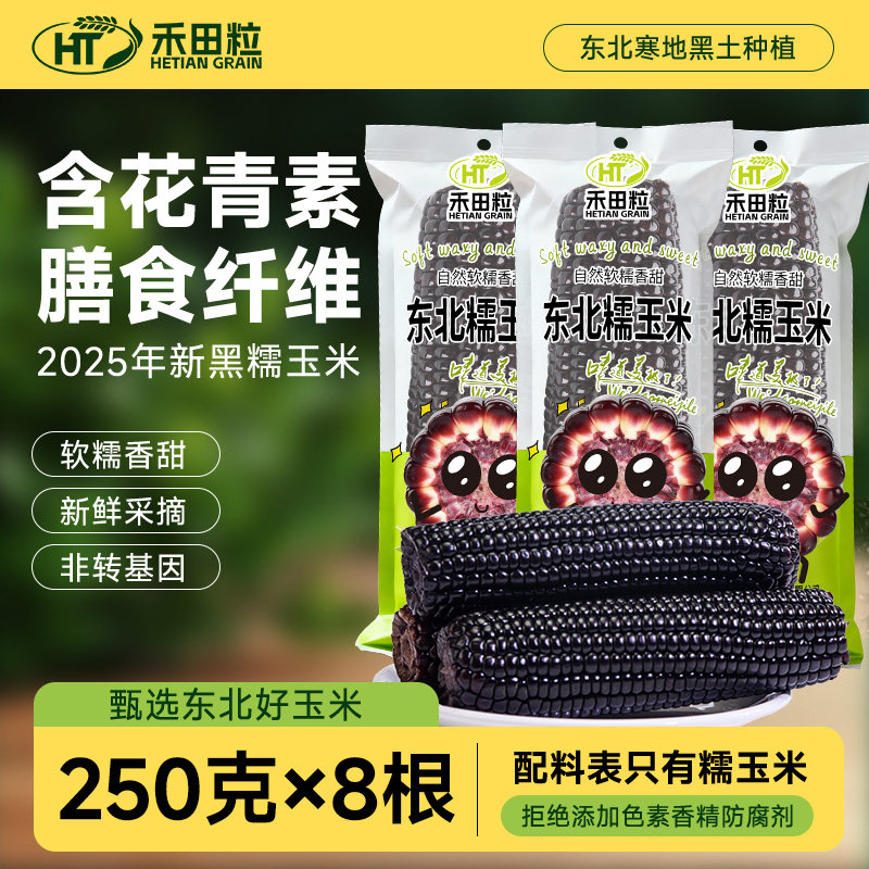 禾田粒2025东北黑糯玉米低脂代早餐粗粮新鲜甜黏黄玉米苞米真空装