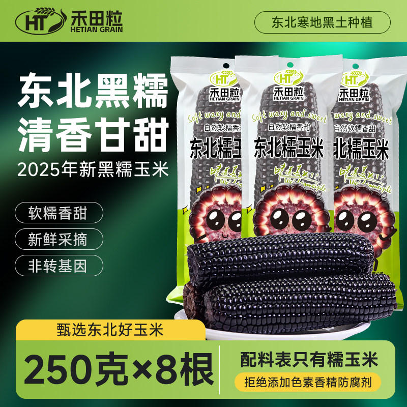 禾田粒东北黑糯玉米含花青素大棒低脂代餐粗粮新鲜甜糯粘黄糯玉米