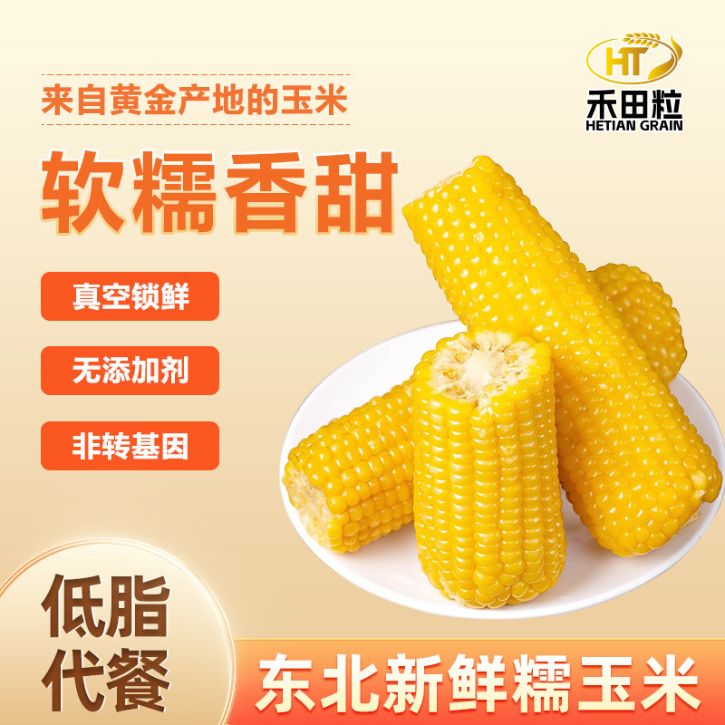 24年东北黄糯玉米非即食软糯低脂早餐代餐粗粮新鲜黏甜粘白糯玉米