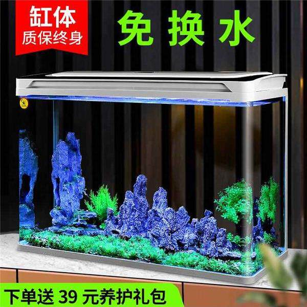 玻璃金鱼缸过滤制氧一体机客厅小型鱼缸家用懒人免换水生态自循环