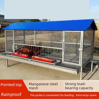 尖顶养殖笼母鸡下蛋笼自动收蛋储蛋笼防啄蛋鸡专用防黄鼠狼家禽笼