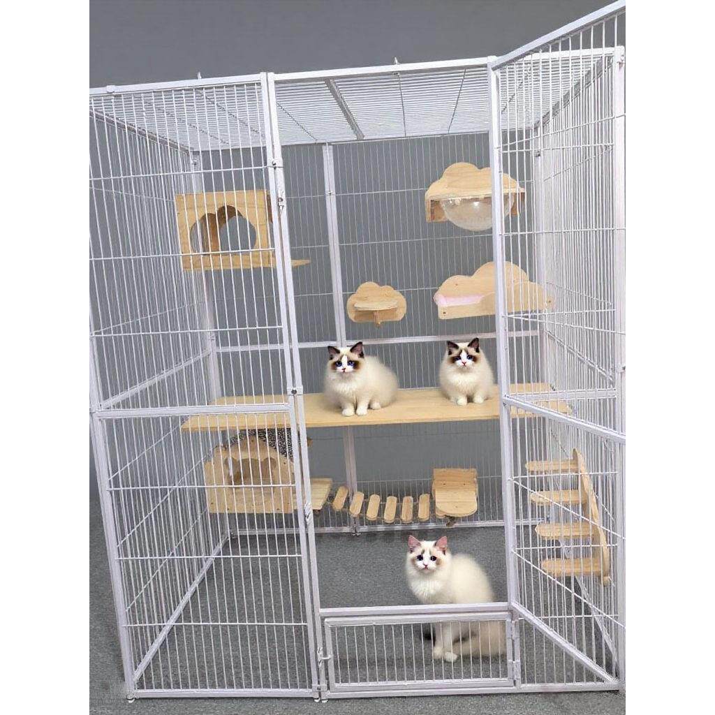方管钢管大型空间猫笼免费空间猫别墅大型饲养猫笼围栏鸽子笼