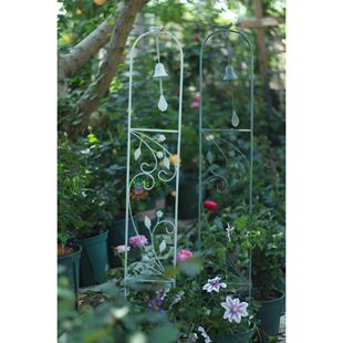 铁老钟风铃插花蓝雪花铁线莲攀缘藤架鸟平花架帘幕