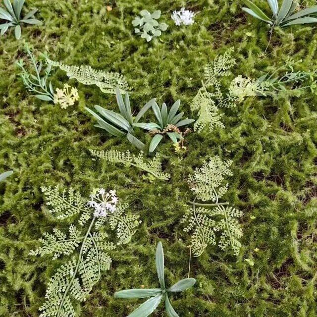 彷真青苔草坪植物墙草坪 苔藓草坪 植毛草坪成品带草草坪彷真植物