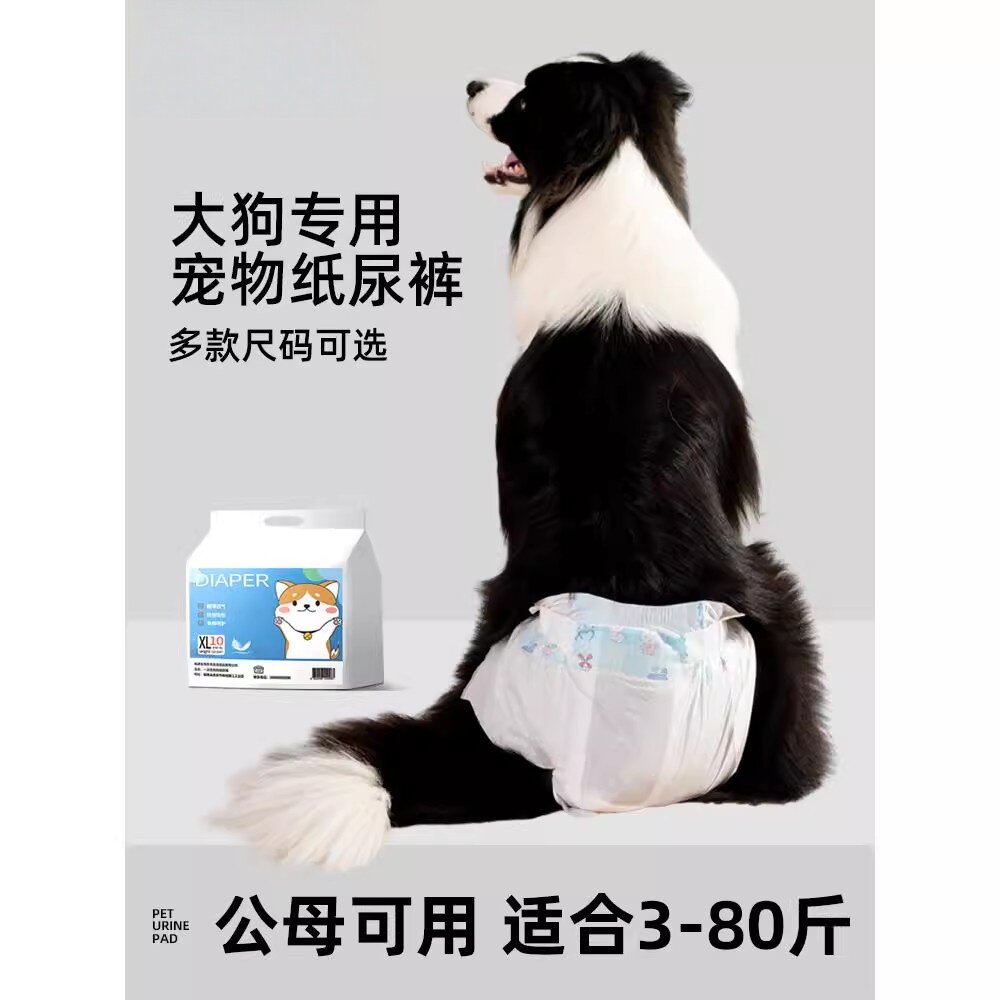 边牧母狗生理裤女拉布多纸