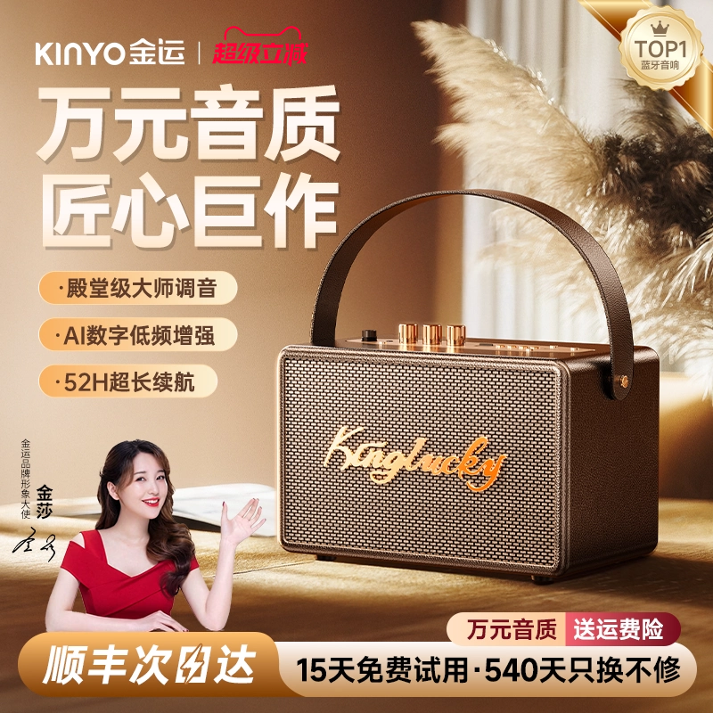 kinyo金S21蓝牙音箱家用K歌话筒音响一体麦克风家庭ktv户外唱歌运