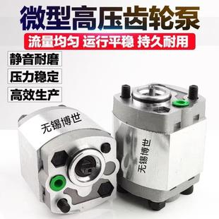 F2.1 F4.8 F1.6 F4.2 F7.8小型升降机齿轮泵 F3.2 CBK齿轮泵CBK