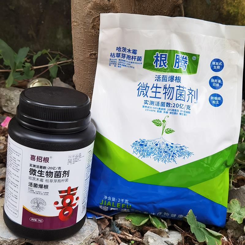 喜招根腾微生物菌肥防根腐重茬农用哈茨木霉瓜果蔬菜生根肥水稻肥
