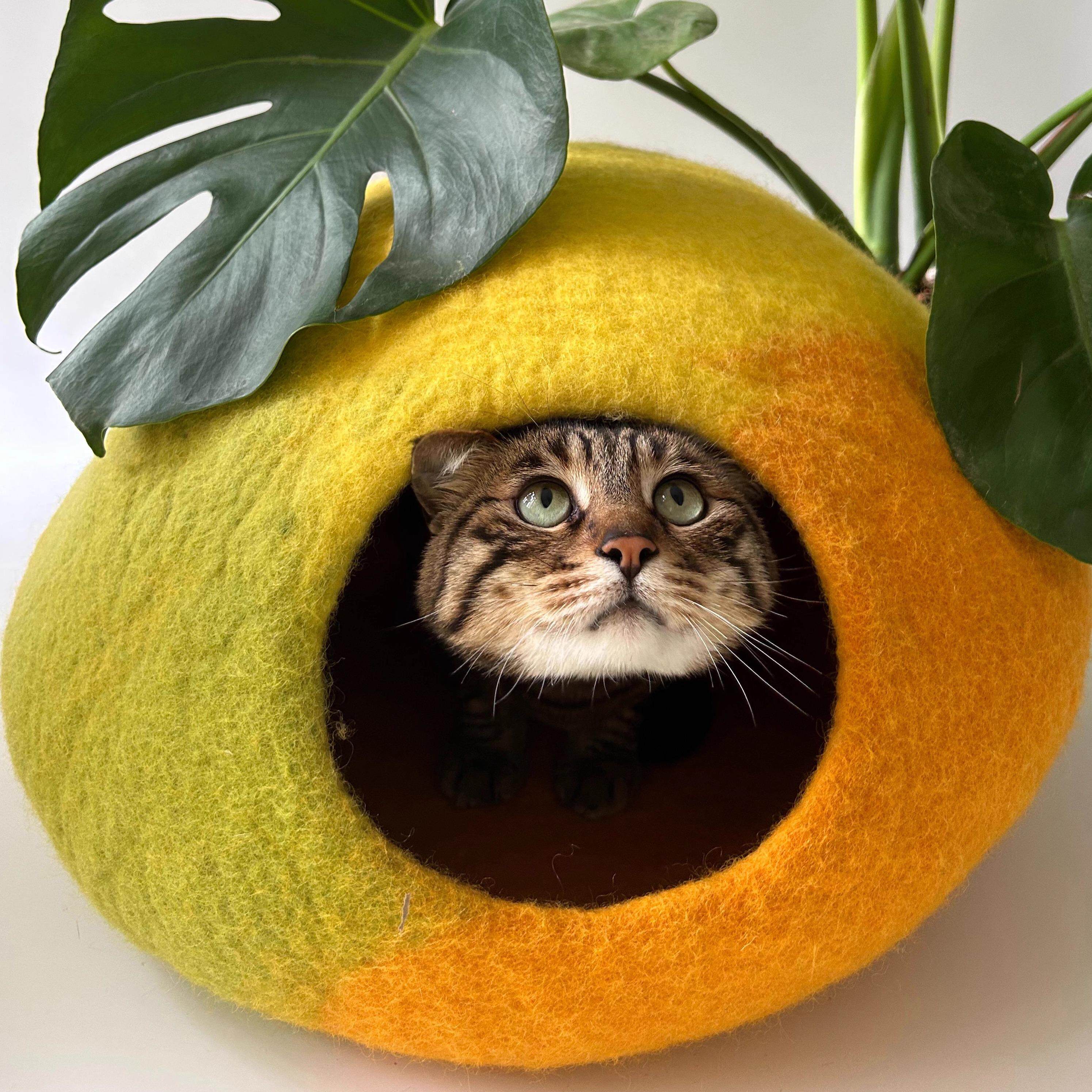 le funny cat阿马尔菲柠檬猫窝猫洞穴秋冬保暖手工羊毛毡窝可机洗