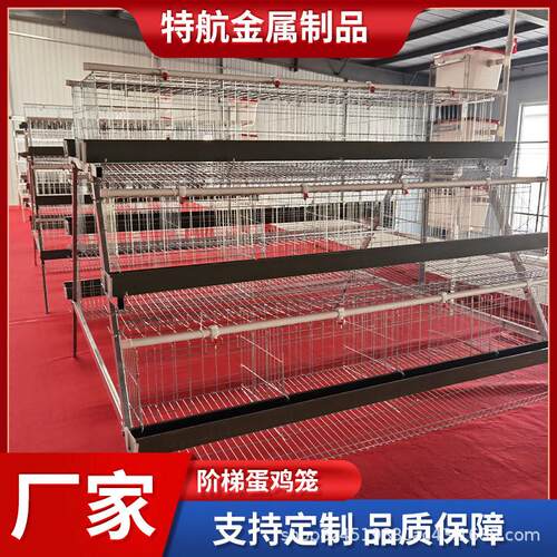 阶梯蛋鸡笼多层阶梯全自动清粪捡蛋喂料简加背负式喂料机捡蛋机