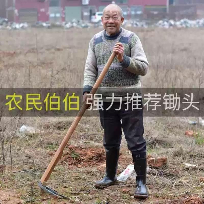 农用工具大全二齿锄头种菜家用锰钢挖地松土翻地锄地神器钉耙耙子