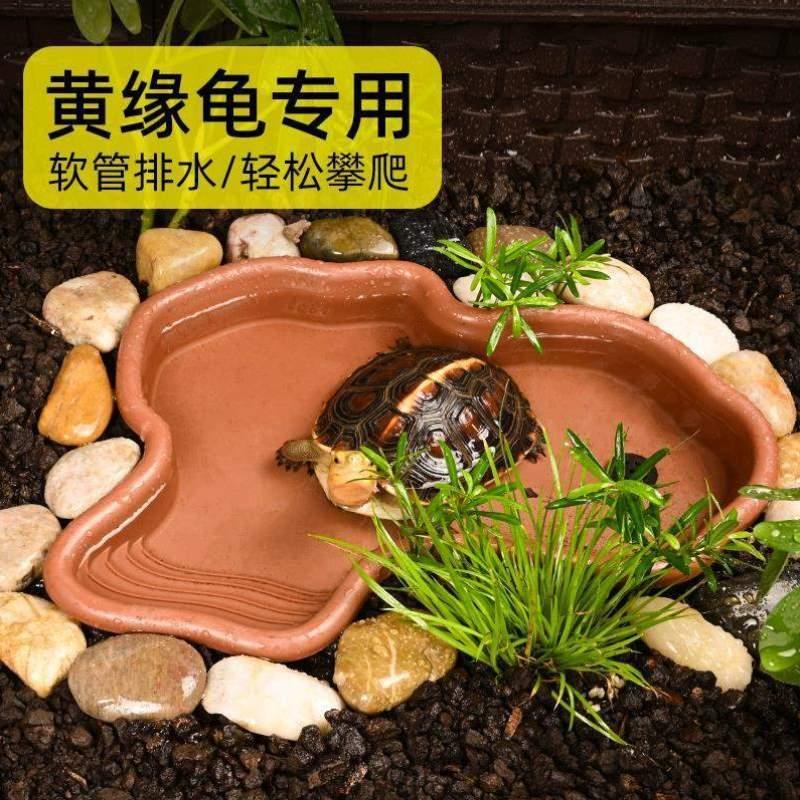饲养半水龟造景寄居蟹角蛙爬用品乌龟箱宠黄缘水盘蜥蜴陆龟喂泡澡