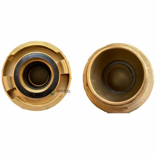 热销水枪接扣 DN40/50/65船用消防皮龙带CCS认证款纯铜两用枪快速