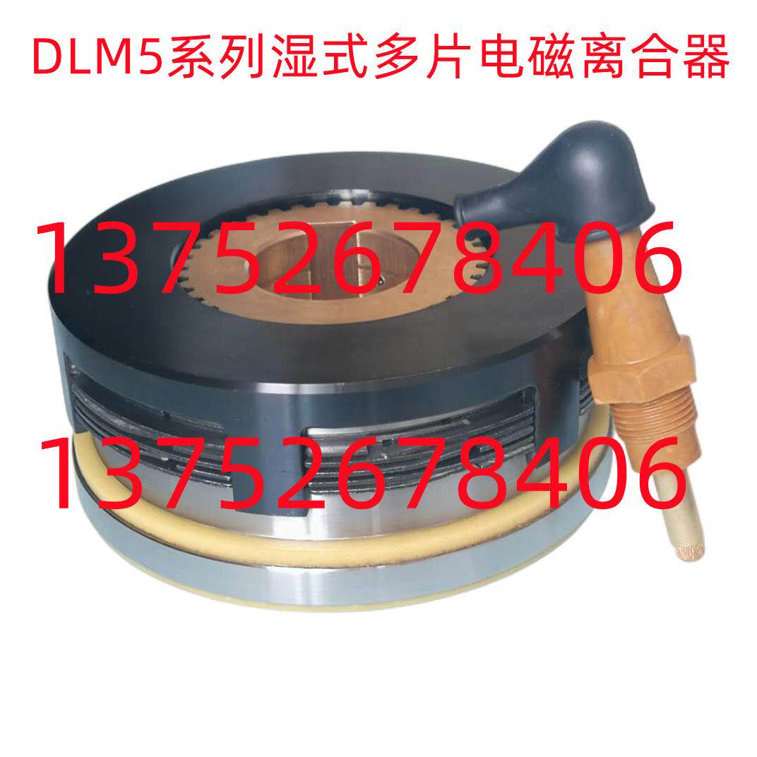 电磁离合器DLM5-1.2AC2.5AC10AC16A25AC40A63A100A湿式多片DC24V