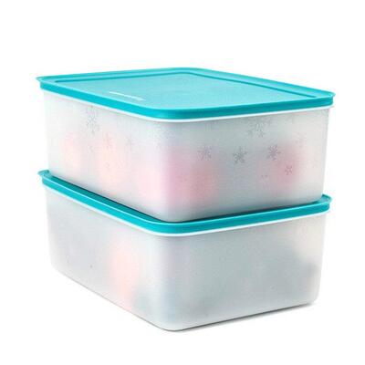 特百惠5.7L雪影新冷冻超大冷冻保鲜盒 蔬菜肉类排骨冷冻冷藏两用