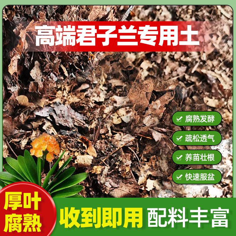 君子兰专用营养土橡树叶发酵树皮松针开花肥杉木屑兰花通用腐殖土