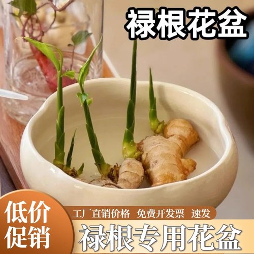 禄根花盆禅意办公室桌面土培陶瓷