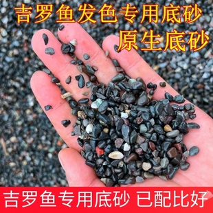 蓝吉罗鱼底砂专用 溪流砂溪流沙促发色蓝吉罗金吉罗红吉罗