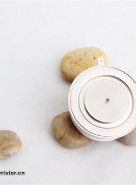 柳晶凸型平板可控硅 KK2500A2500V 晶闸管 R2619ZC25J