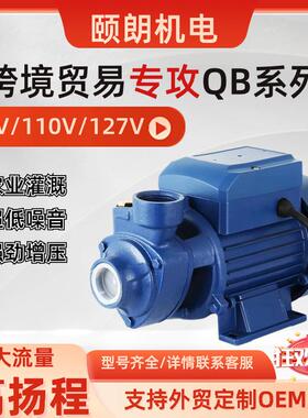 QB旋涡泵QB60/70/80清水漩涡泵AC220V/110V/127V太阳能板DC12V24V