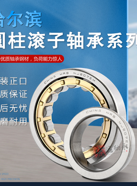 HRB圆柱滚子轴承NU NJ 220 221 222  224 226 228 230 232 234 EM