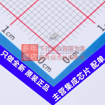转换器/电平移位器 TXS0101YZPR DSBGA-6(0.9x1.4) TI/德州 原装