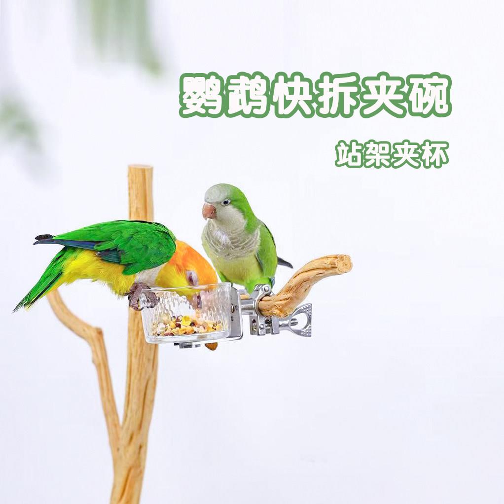 洪屿鹦鹉快拆夹碗站架夹杯不锈钢快拆食盒玻璃碗水杯果盘多用碗夹
