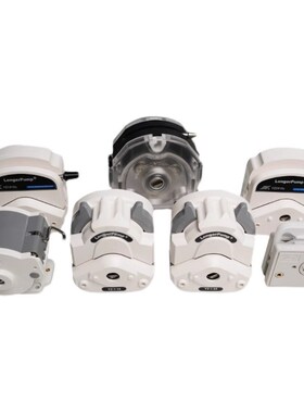 保定兰格YZ1515X/YZ25/KZ25/DG15-24/BZ15-13-A/FG15蠕动泵泵头
