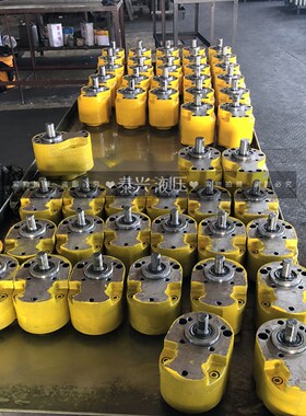 CB-B10/B6h/B4/B16/B20/B25/B63/B100/B125锯床润滑泵液压齿轮油