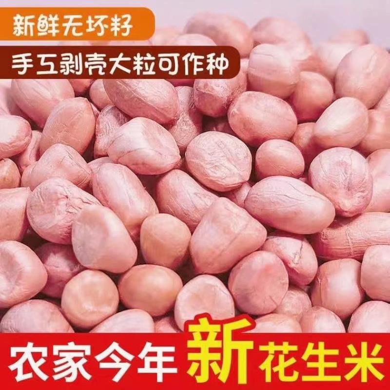 现剥新花生米新货特级粉皮新鲜优质大粒不带壳500g白沙生花生仁