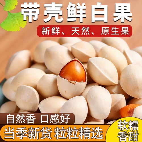 精选当季生白果银杏果带壳大果无漂泊营养丰富纯净无杂鲜香自然