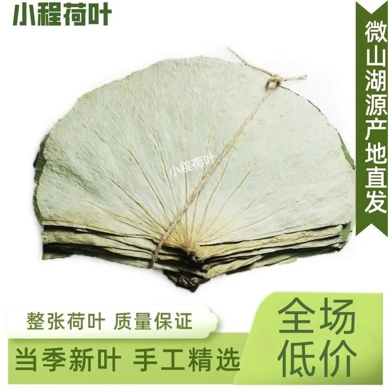荷叶整张荷叶荷叶茶荷叶片干荷叶糯米鸡荷叶鸡荷叶饭荷叶整张批发