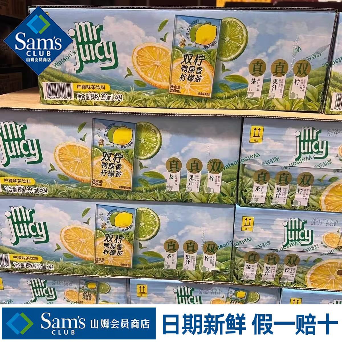 山姆鸭屎香柠檬茶饮料含真果汁真茶入口鲜爽顺滑代购官方旗舰店