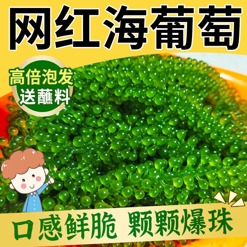 新鲜海葡萄海藻类寿司爆珠鱼子酱100克