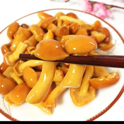 东北特产蘑菇长白山野山菜新鲜腌制滑子菇滑子蘑清水滑子蘑750g