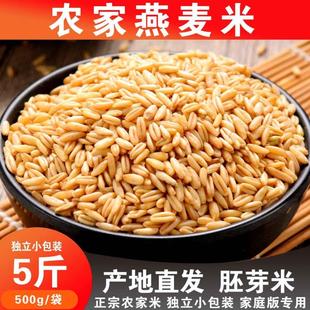 新米燕麦米野麦雀麦东北农家去壳裸燕麦仁生燕麦全胚芽燕麦米批发