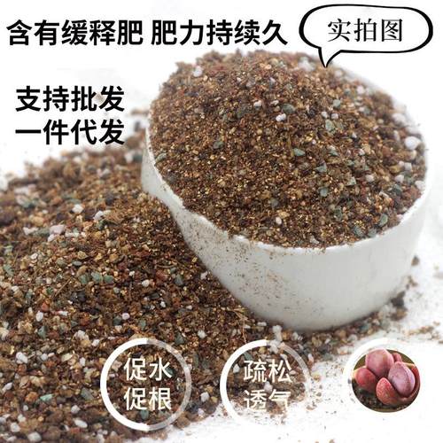 厂家生石花土番杏类肉锥类多肉植物颗粒屁屁花传播专用土