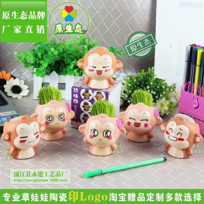 Diy种植盆栽草头娃娃 植物工艺品 迷你多肉小花盆 礼品 悠嘻猴