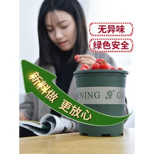 个性 加厚花盆加仑盆阳台家用塑料创意 花盆大号种植兰花花盆