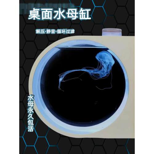 桌面生态水母缸巴布亚硝大西洋海月赤月水母宠物生态鱼缸