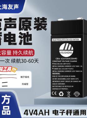 上海友声电子秤电池CB-4-4(4v4ah/20hr)免维护铅酸蓄电池通用电池