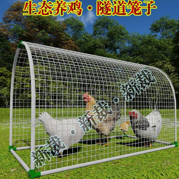 养鸡隧道笼认养农场鸡笼跑道笼子鸡笼养鸡笼子可移动鸡笼电焊网图片