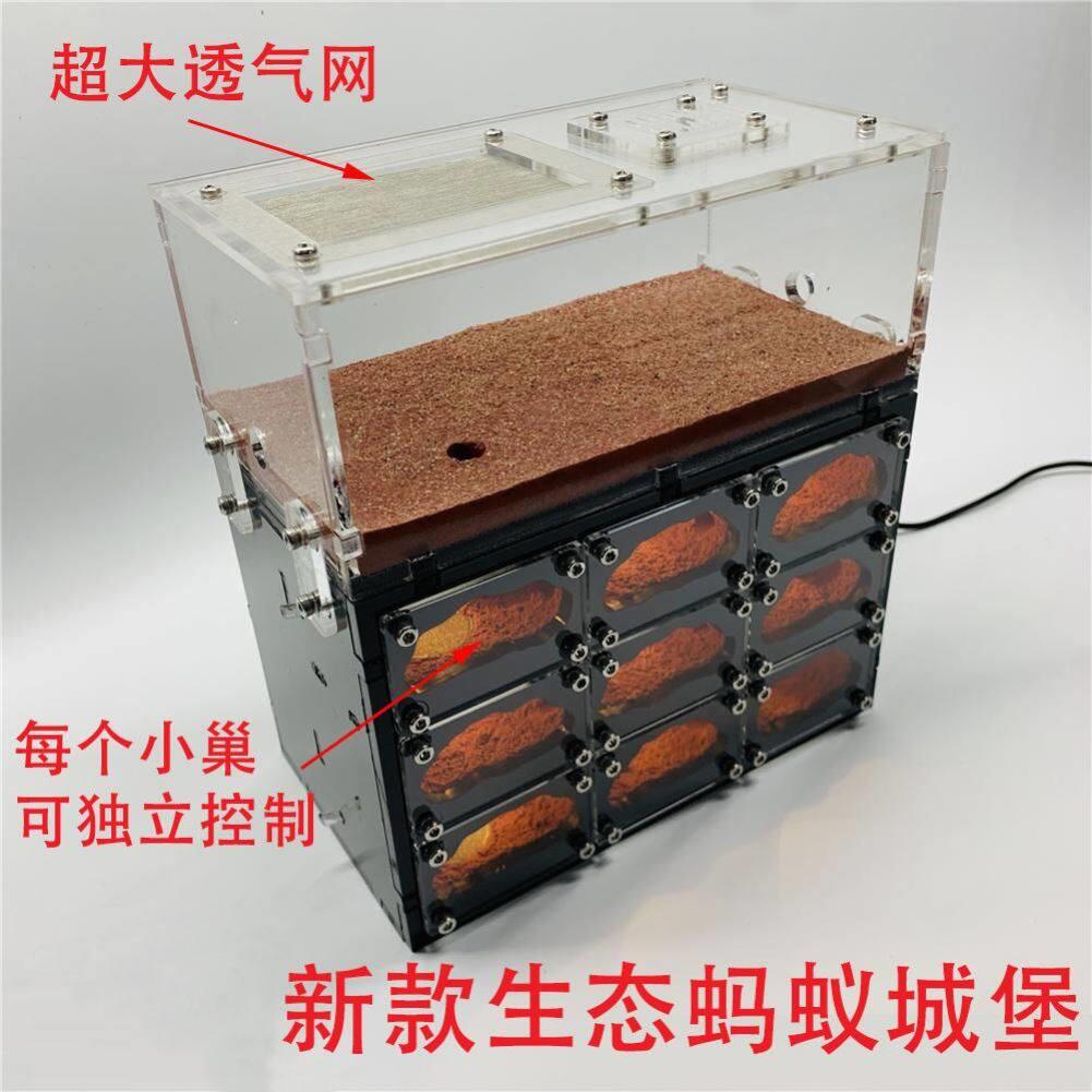 蚂蚁生态箱带夜灯饲养盒豪华宠物蚂蚁工坊亚克力超大沙巢生态蚁巢