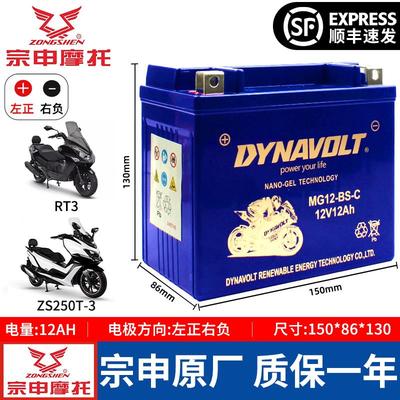 赛科龙RX1 RX1S RA2 RX4 RZ3S RG3 RE3 RT3 RX500 RX6电瓶蓄电池