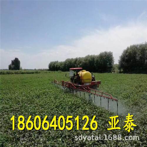 3吨自走式棉花喷杆喷雾机 高架四轮自走式棉花打药车