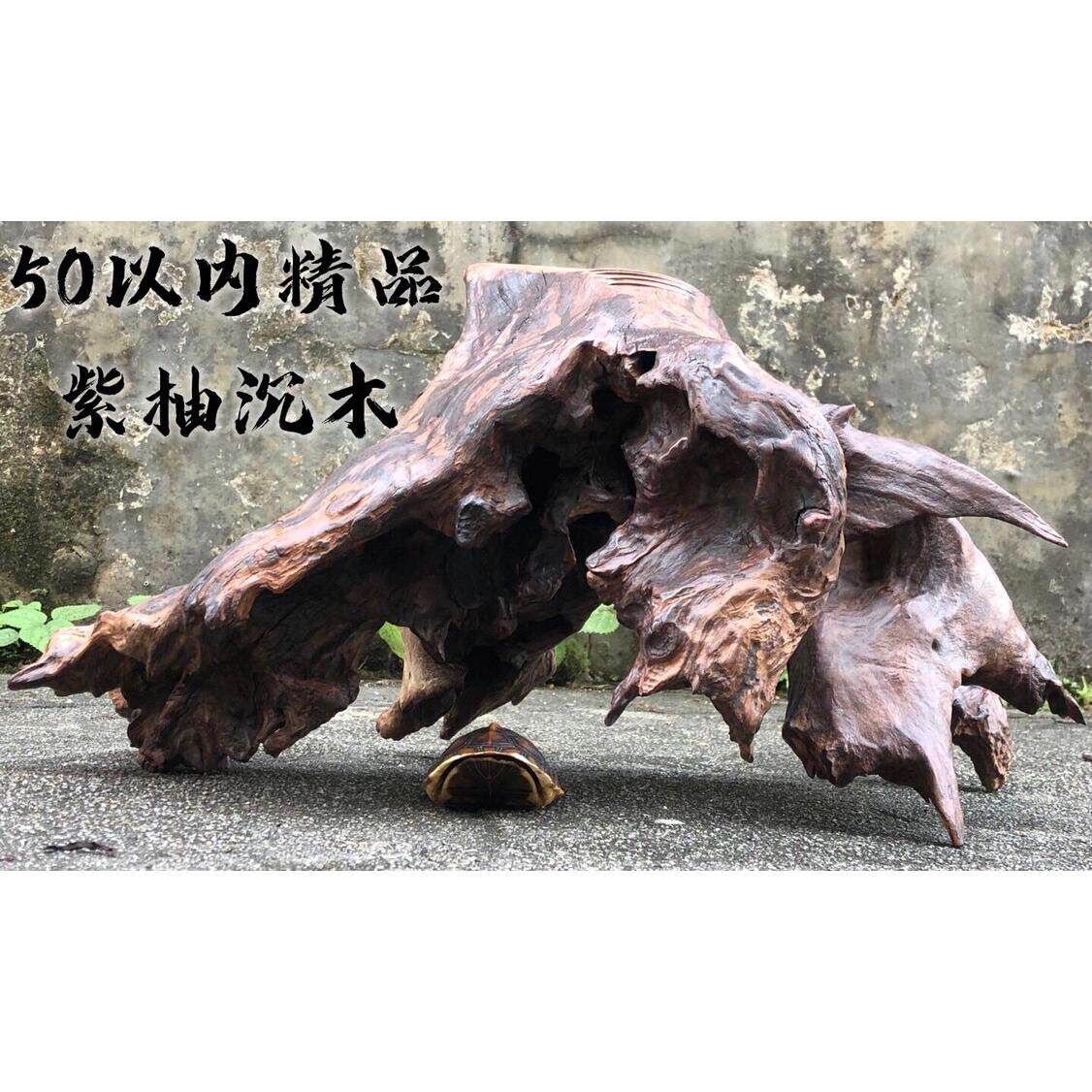 四方沉木50CM以内鱼缸造景龟晒台异形寄居蟹南美缸水草摆件紫柚木