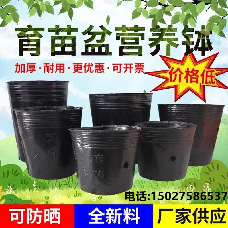 营养杯营养钵塑料育苗杯一次性抗老化花盆加厚种植杯黑色塑料花盆