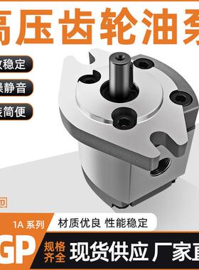 HGP-1A-F6R高压齿轮泵HGP-1A-F4R/F2R/F8R/F1R/F5R/F3R液压齿轮泵